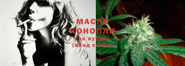 шишки Кодинск