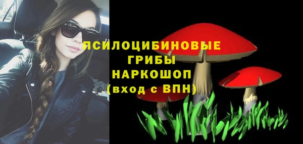 дурь Богородицк
