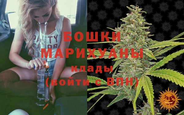 дурь Богородицк